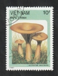 Sellos de Asia - Vietnam -  849 - Champiñón, Clitocybe geotropa