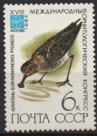 Stamps Russia -  AVES.  EURYNORHTNCHUS.