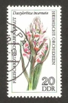 Sellos de Europa - Alemania -  1812 - Orquídea, dactylorhiza incarnata