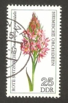 Sellos de Europa - Alemania -  1815 - Orquídea orchis coriophora