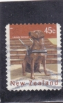 Stamps New Zealand -  PERRO LABRADOR