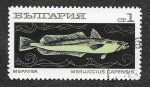 Stamps : Europe : Bulgaria :  1810 - Merluza Europea