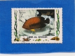 Stamps United Arab Emirates -  Peces