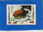 Sellos de Asia - Emiratos rabes Unidos -  Peces