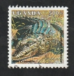 Sellos de Africa - Uganda -  1238 - Reptil crocodylus niloticus