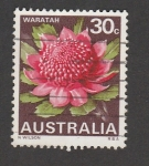 Stamps Australia -  Telopea aspera