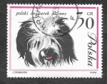 Stamps Poland -  1116 - Perro Pastor Polaco