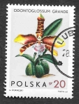 Sellos de Europa - Polonia -  1346 - Orquídeas