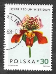 Stamps Poland -  1347 - Orquídeas