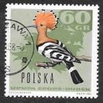 Stamps Poland -  1456 - Abubilla