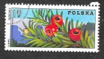 Stamps Poland -  2092 - Centenario de las Organizaciones Polacas de Guías de Montaña