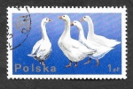 Stamps Poland -  2098 - XX Congreso de la Federación Europea de Zootecnia