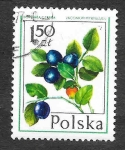 Stamps Poland -  2202 - Arándano