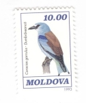 Stamps Europe - Moldova -  Carraca europea