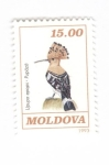 Sellos de Europa - Moldavia -  Abubilla