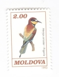 Stamps Moldova -  Abejaruco