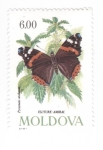 Stamps Europe - Moldova -  Atalanta