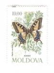 Stamps Moldova -  Macaón