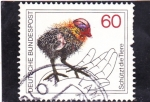 Stamps Germany -  POLLUELO 