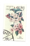 Stamps Oman -  Weigelia Rosea