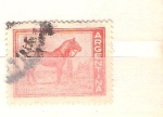 Stamps Argentina -  caballo criollo