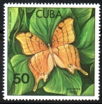 Stamps Cuba -  MARIPOSAS.  MARPESIA  ELEUCHEA.