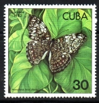 Stamps Cuba -  MARIPOSAS.  AMADRYAS  FEROX  DIASIA.