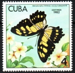 Stamps Cuba -  MARIPOSAS.  METAMORPHA  STELENES  INSULARIS.