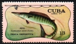 Sellos de America - Cuba -  PESCA  DEPORTIVA.  ACANTHOCYBIUM  SOLANDRI.