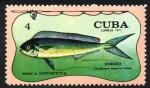 Sellos de America - Cuba -  PESCA  DEPORTIVA.  CORYPHAENA  HIPPURUS