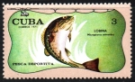 Stamps Cuba -  PESCA  DEPORTIVA.  MICROPTENUS  SALMOIDES.
