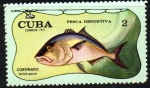 Stamps Cuba -  PESCA  DEPORTIVA.  SERIOLA  SPECIES.