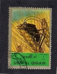 Stamps United Arab Emirates -  Insectos