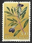 Stamps Yugoslavia -  Aceitunas