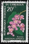 Stamps : Africa : Cameroon :  Mountain Rose