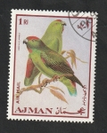 Sellos de Asia - Emiratos �rabes Unidos -  Ajman - 54 - Aves