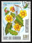 Stamps Equatorial Guinea -  Proteccion de la naturaleza - Hibbertia dentata