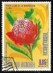 Stamps Equatorial Guinea -  Proteccion de la naturaleza - Telopea Speciosissima