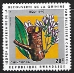 Stamps Rwanda -  Plantas - Cinchona bark