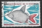 Stamps Chad -  Peces - Moonfish