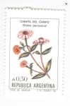 Stamps Argentina -  Chinita del campo