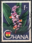 Stamps : Africa : Ghana :  CÁSCARA  DE  JENGIBRE