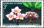 Stamps Republic of the Congo -  MYRIANTHEMUN  MIRABILE