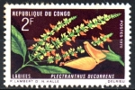 Stamps Republic of the Congo -  PLECTRANTHUS  DECURRENS