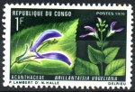 Stamps Republic of the Congo -  BRILLANTAISIA  VOGELIANA