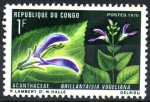Sellos de Africa - Repblica del Congo -  BRILLANTAISIA  VOGELIANA
