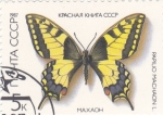 Sellos de Europa - Rusia -  MARIPOSA