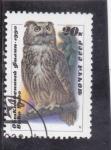 Stamps Russia -  BUHO