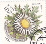 Stamps Russia -  FLORES-CARLINA ACAULIS