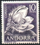 Stamps Andorra -  HELEBORUS  CONI